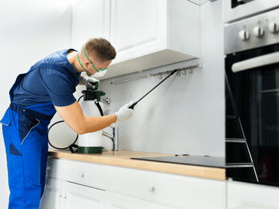About PESTILENCE LABS, INC. - pest control service experts in West Melbourne